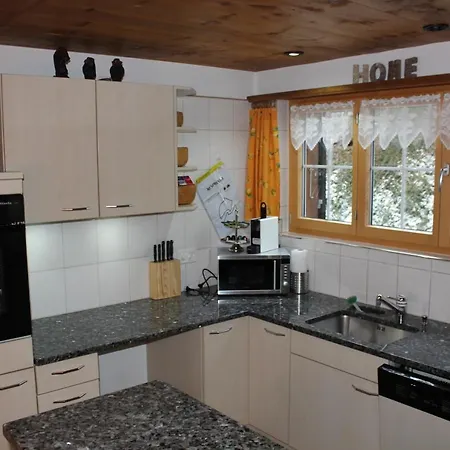Rinderblick Apartment Zweisimmen