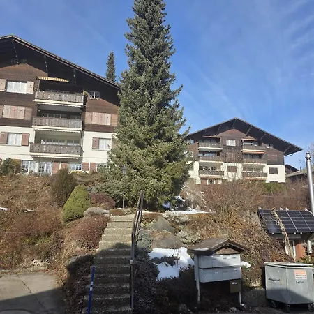 Rinderblick * Zweisimmen